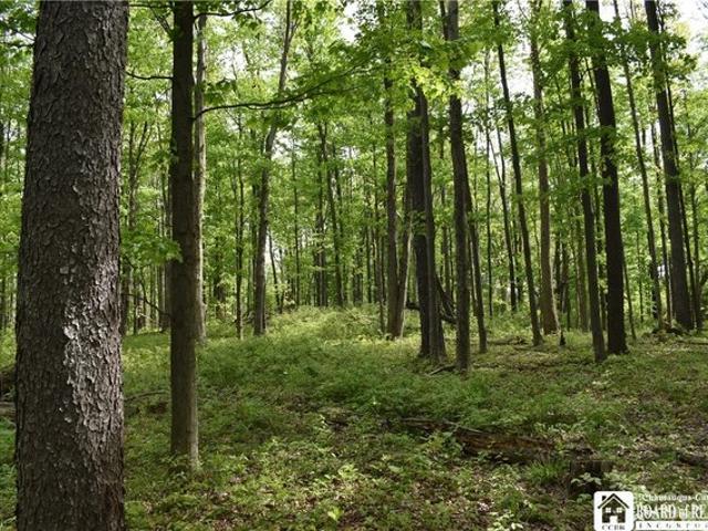 Land for sale in New York