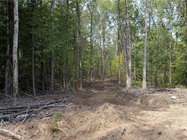 Land for sale in Oneida, New York