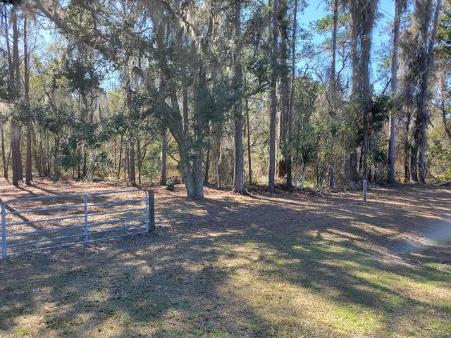 Land for sale in Gainesville, Florida