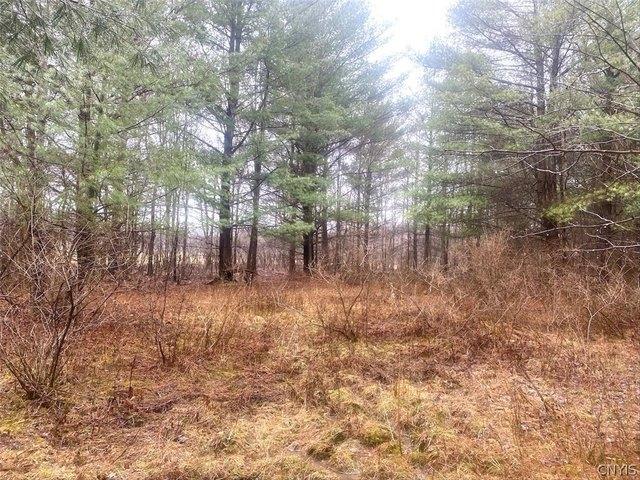 Land for sale in Centerville, New York