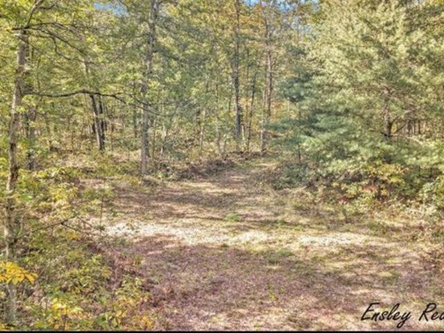 Land for sale in Newaygo, Michigan