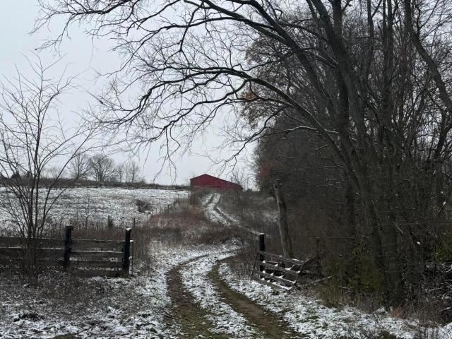 Farm for sale in Cynthiana, Kentucky