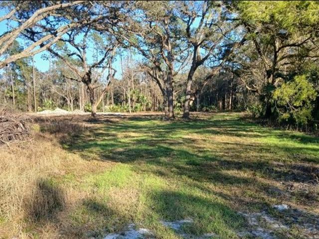 Land for sale in Christmas, Florida