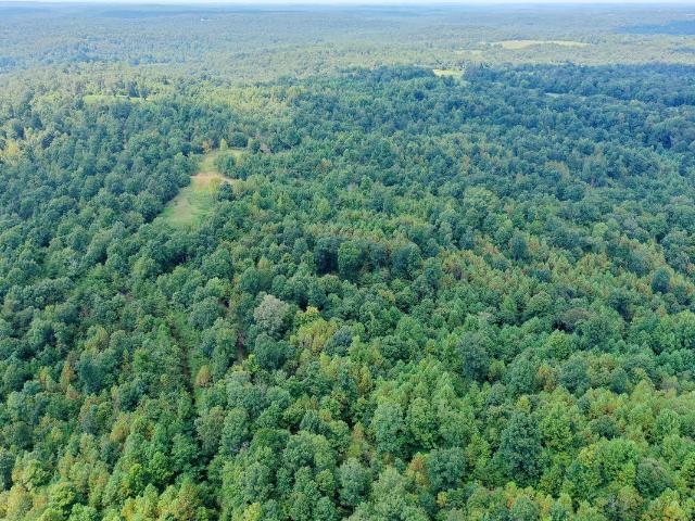 Land for sale in Princeton, Kentucky