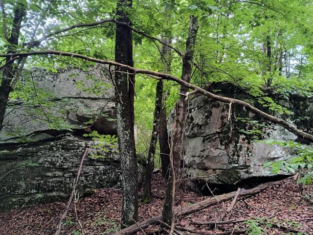 Land for sale in Tennessee