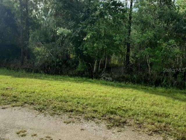 Land for sale in Indian Lake Estates, Polk County