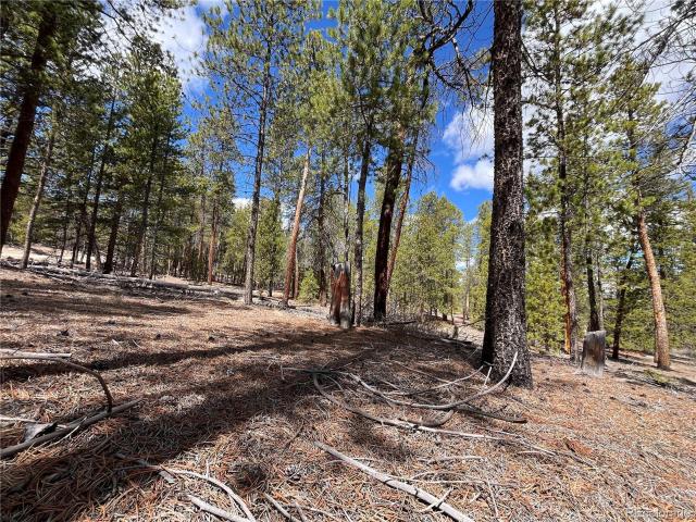 Land for sale in Twin Lakes, Colorado