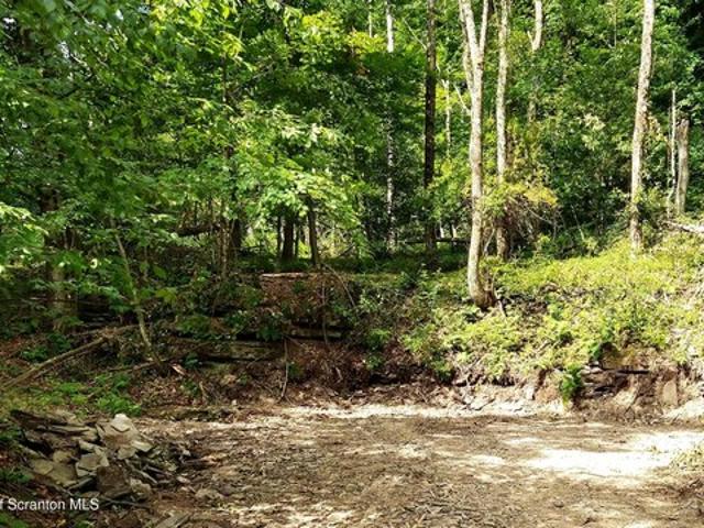 Land for sale in New Milford, Pennsylvania