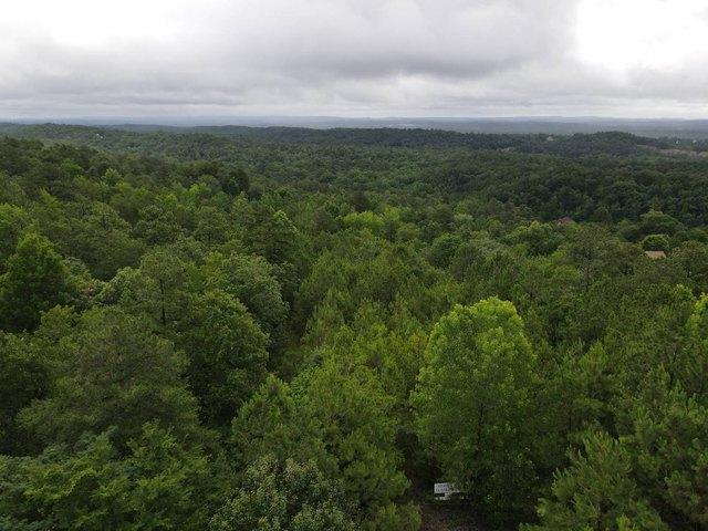 Land for sale in Helena, Alabama