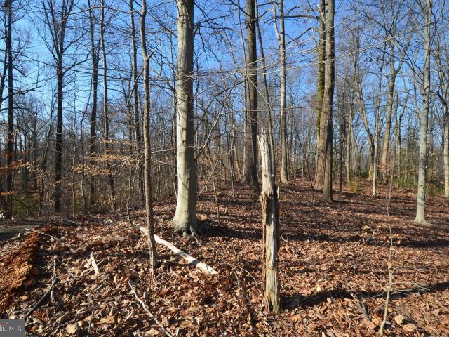 Land for sale in Crownsville, Maryland
