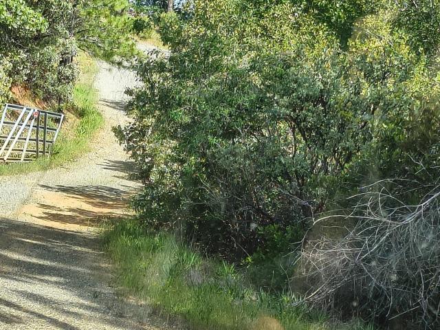 Land for sale in Brownsville, California