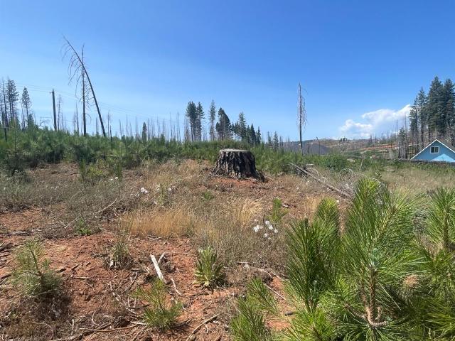 Land for sale in Grizzly Flats, California