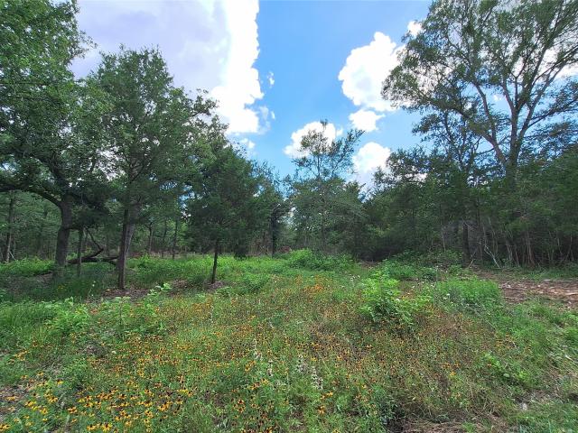 Land for sale in Caldwell, Burleson County