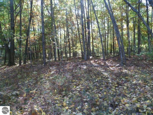 Land for sale in Lake Isabella