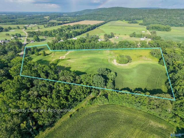 Land for sale in New Market, Alabama