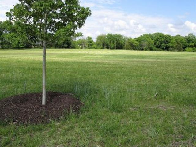 Land for sale in Iowa Falls, Iowa