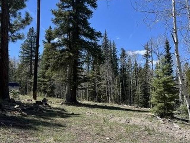 Land for sale in Panguitch, Utah