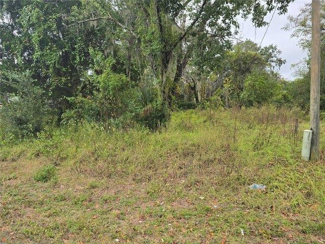 Land for sale in New Port Richey, Florida