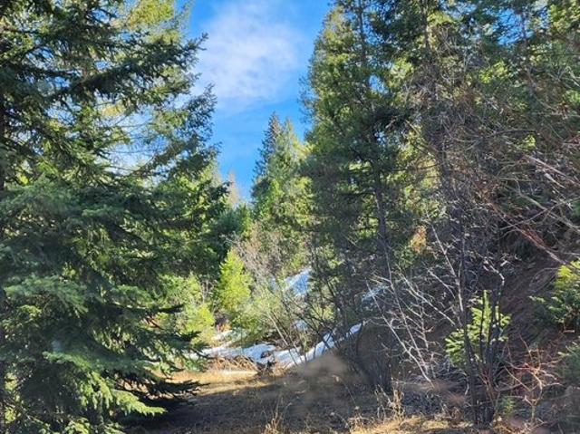 Land for sale in Morrison, Colorado