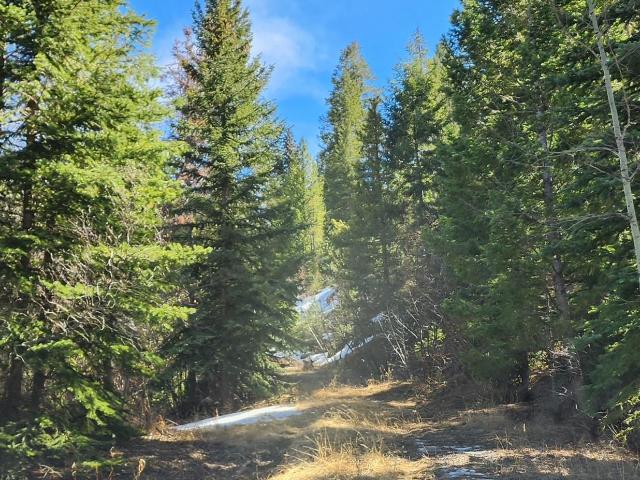 Land for sale in Morrison, Colorado