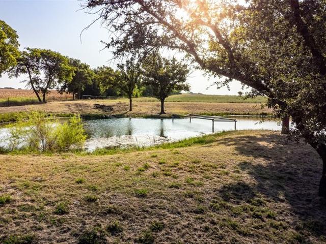Land for sale in Blue Ridge, Texas