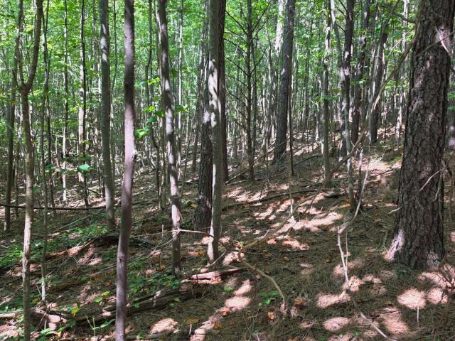 Land for sale in Tennessee