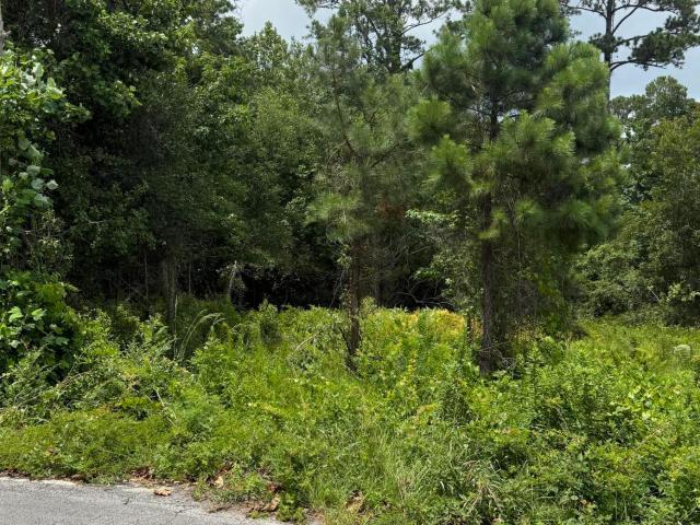 Land for sale in Sneads Ferry, North Carolina
