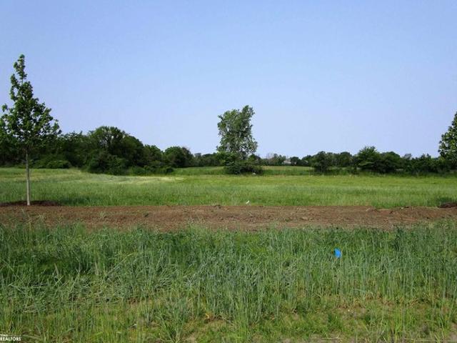 Land for sale in Iowa Falls, Iowa