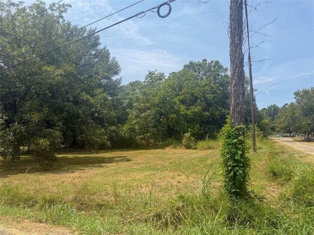 Land for sale in Lamar, Texas