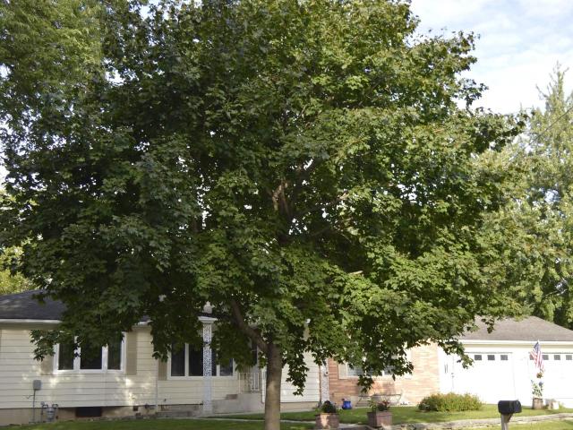 House for sale in Cerro Gordo, Iowa