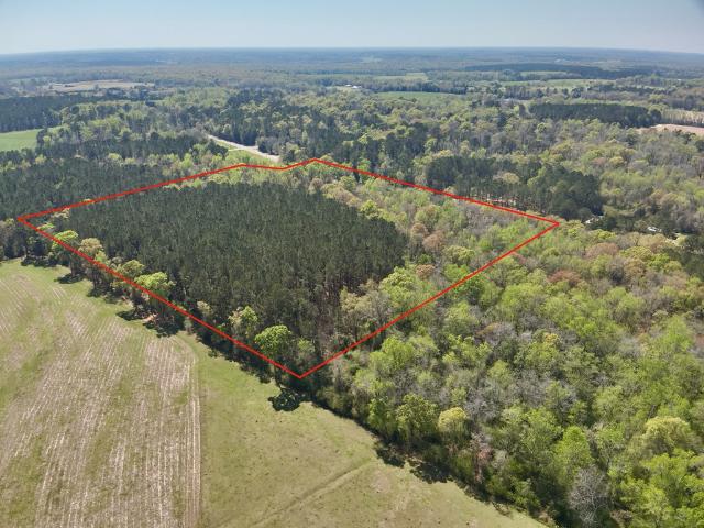 Land for sale in Cottonwood, Alabama