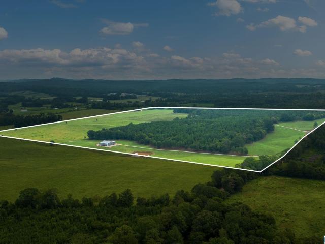Land for sale in Lincoln, Alabama