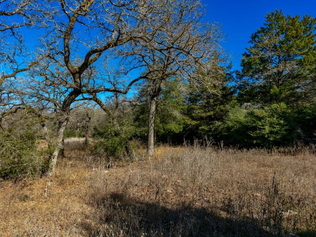 Land for sale in Caldwell, Burleson County