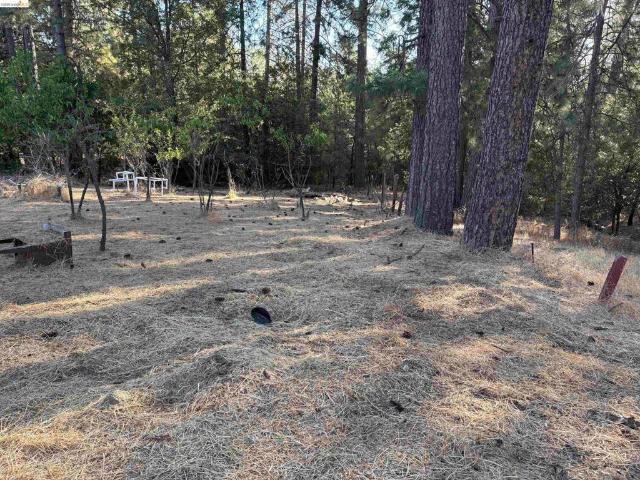 Land for sale in Coulterville, California
