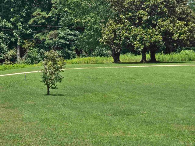 Land for sale in Anderson, Alabama