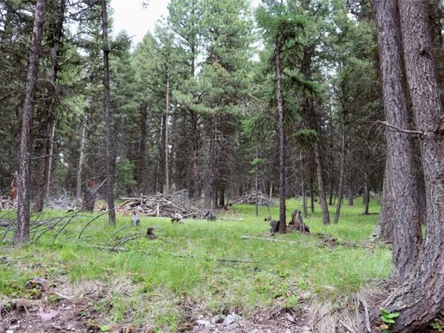Land for sale in Seeley Lake, Montana