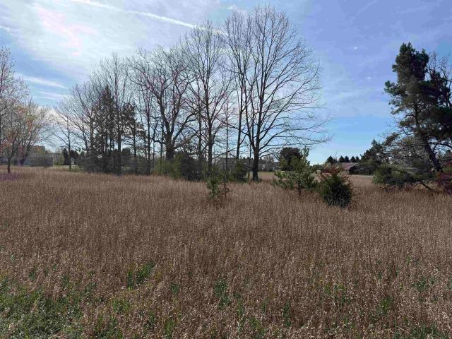Land for sale in Lake Isabella