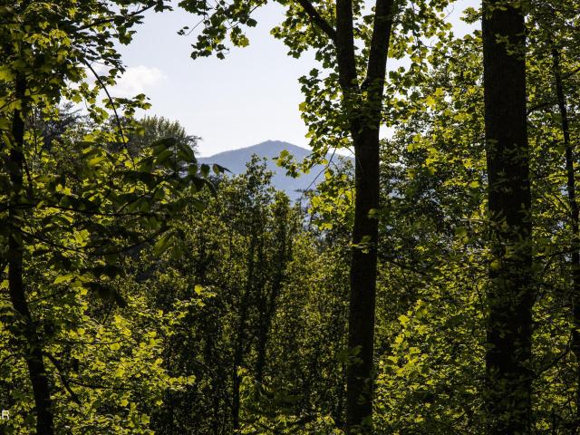 Land for sale in Tennessee