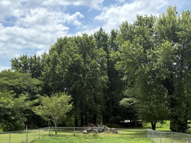 House for sale in Wingo, Kentucky