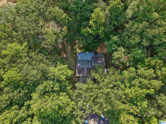 House for sale in Woodland Hills, Alabaster