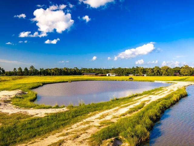 Farm for sale in Newton, Texas