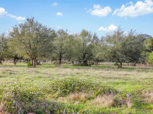 Land for sale in Cat Spring, Texas