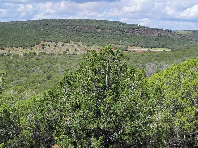 Land for sale in Williams, Arizona