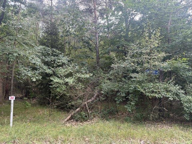 Land for sale in Stanwood, Michigan