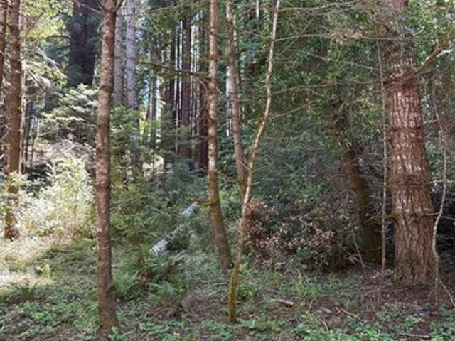 Land for sale in The Sea Ranch, California