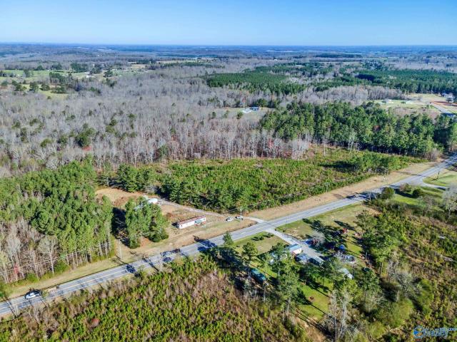 Land for sale in Town Creek, Alabama