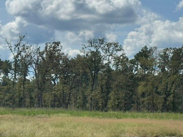 Land for sale in Huntington, Angelina County