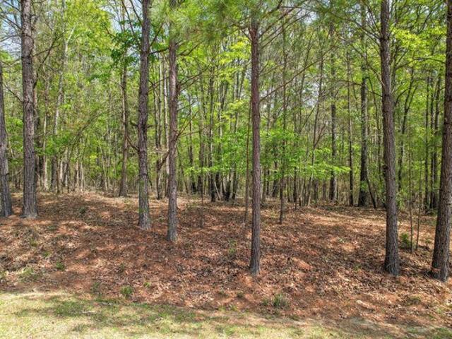 Land for sale in Lincolnton, Georgia
