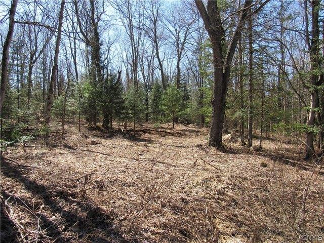 Land for sale in Oneida, New York