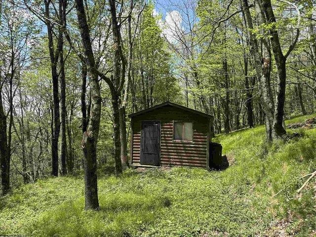 Land for sale in Harman, West Virginia